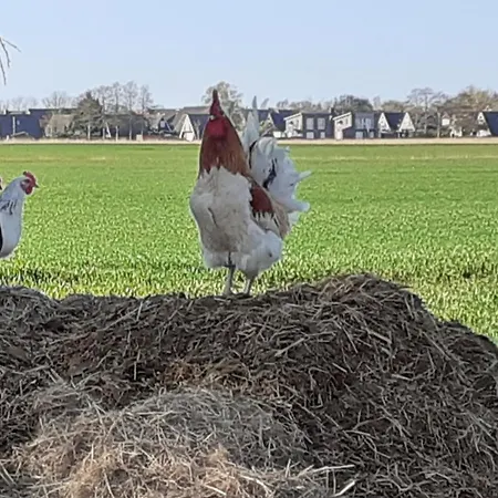 Grosszuegige In Ostfriesland *