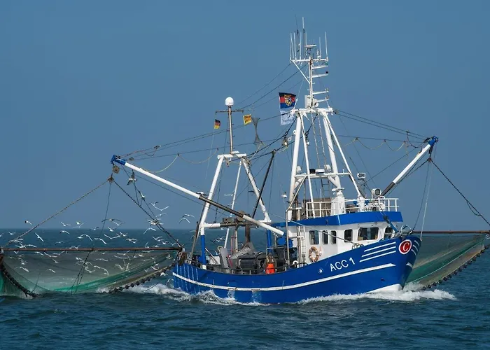 Grosszuegige In Ostfriesland Utarp